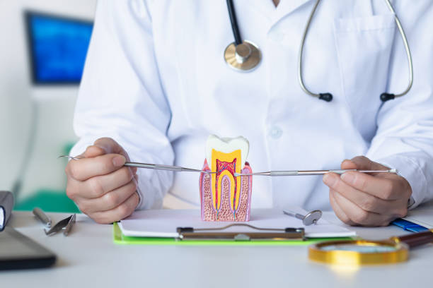 Best Emergency Dentist for Lost Fillings or Crowns in Chelsea, MA